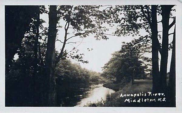 Old 1950 Postcard Showing the Annapolis River Near Middleton, Nova Scotia